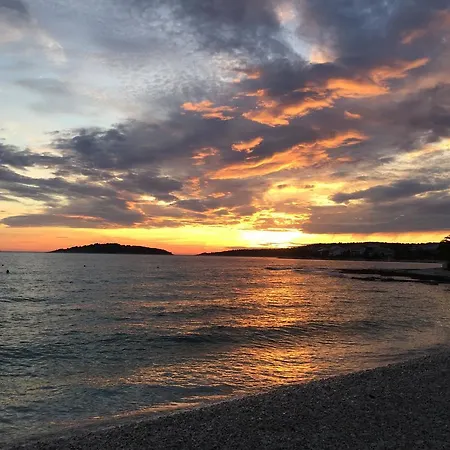 Ruzic Рогозница